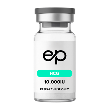 HCG 10,000 IU vial, Evra Peptides Australia